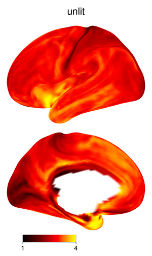 Unlit surface plot