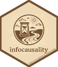 infocausality website: https://stscl.github.io/infocausality/