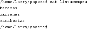 \begin{tscreen}
/home/larry/papers\char93  ls \\
english-list \\
history-final \\
masters-thesis \\
notes \\
\end{tscreen}
