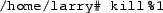 \begin{tscreen}
/home/larry\char93  yes $>$\ /dev/null \\
\key{ctrl-Z} \\
\verb-[1]+ Stopped yes >/dev/null- \\
/home/larry\char93
\end{tscreen}