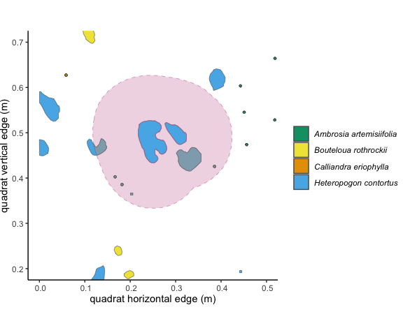 Figure 3.3: The 10cm buffer around the focal individual overlaps with 5 other unique individuals of two species. The overlapping area is shaded in grey. Using the 'area' method in `getNeighbors()`, we would get an intraspecific competition metric of 0.0454, and an interspecific competition metric of 0.0462.