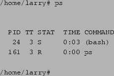 \begin{tscreen}
/home/larry\char93  yes $>$\ /dev/null \& \\
\verb+[1] 164+ \\
/home/larry\char93
\end{tscreen}