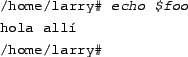 \begin{tscreen}
/home/larry\char93  {\em export PAGER}
\end{tscreen}